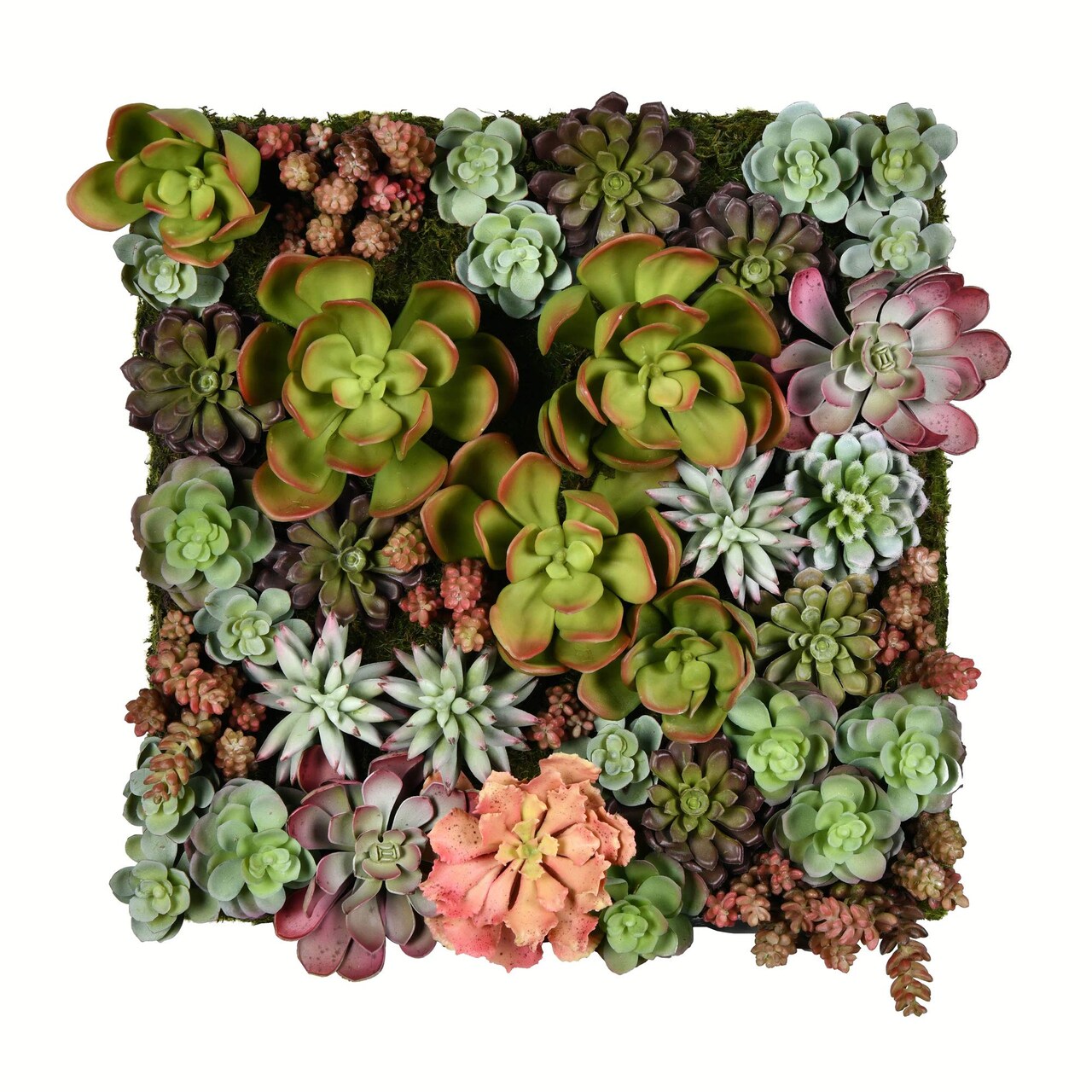 Vickerman 16.5" Multi-Colored Succulent Wall Arran - FX190617